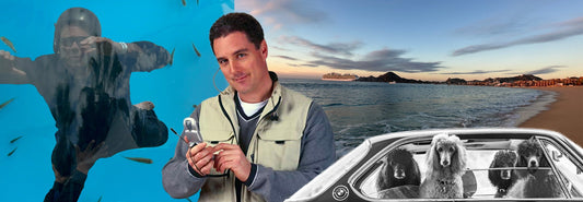 April 2026 - Monthly Update