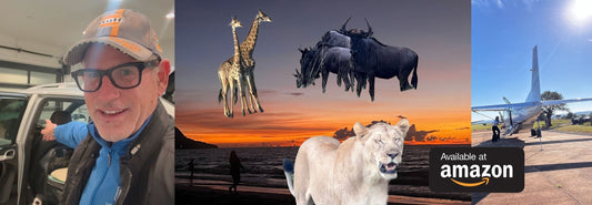 January 2026 - Monthly Update